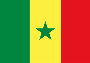 馬達加斯加男籃